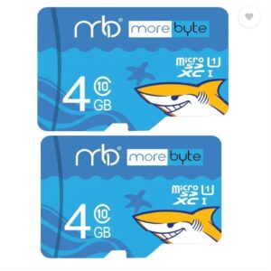 4 GB MicroSD Card Class 10 90 MB/s Memory Card Black Series 4 GB MicroSD Card Class 10 100 MB/s Memory Card Compatible with Mobile