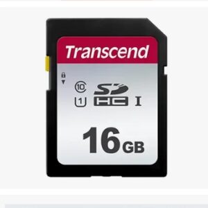 16GSDC300S 16GB UHS-I U1 SD Memory Card